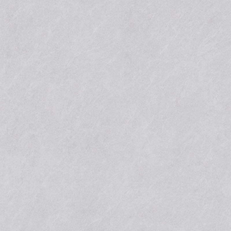 NTL8341