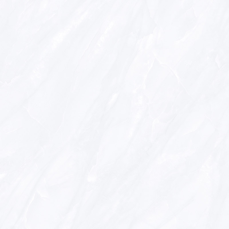 ST89G010