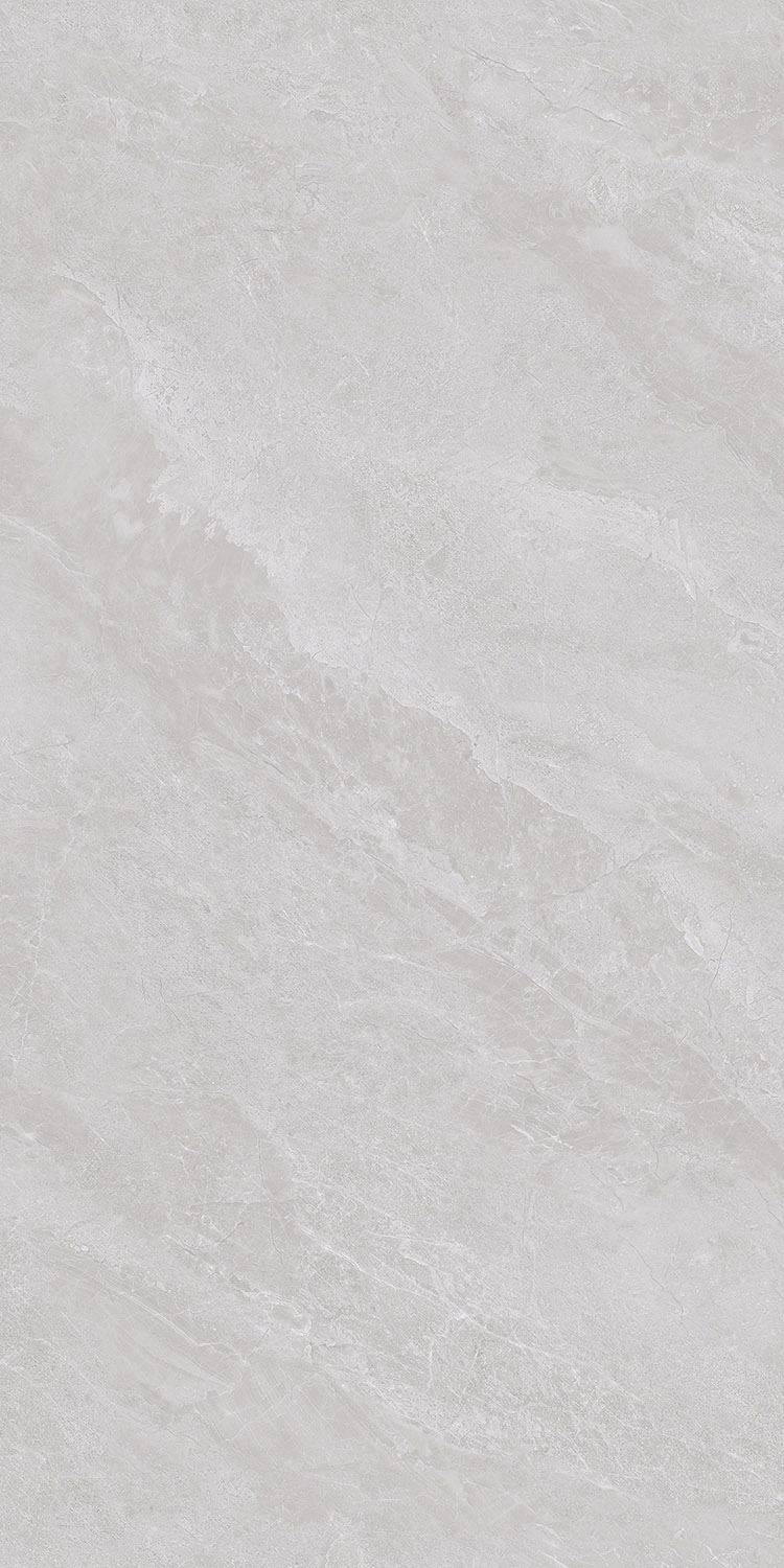 AR69001-B