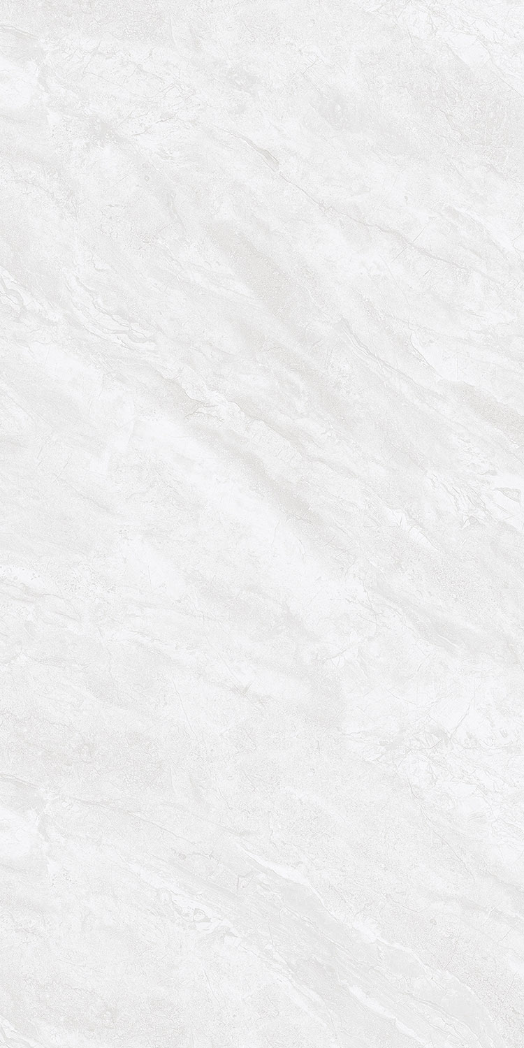 AR69003-B