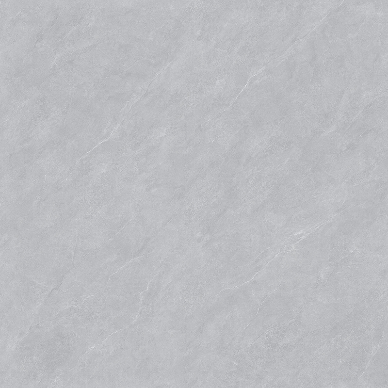 AR98106